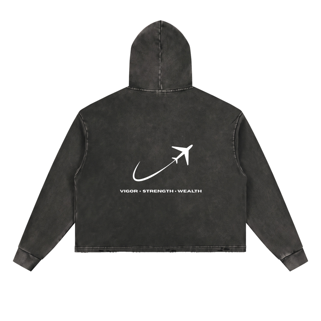 JetSetter,JetSetStyle,HeavyHoodie,PrivateJetClothing,HighFashion,LuxuryWear,HypebeastStyle,VintageWash,PrivateTerminalHoodie,CelebrityTravelHoodie,BlackVintageHoodie