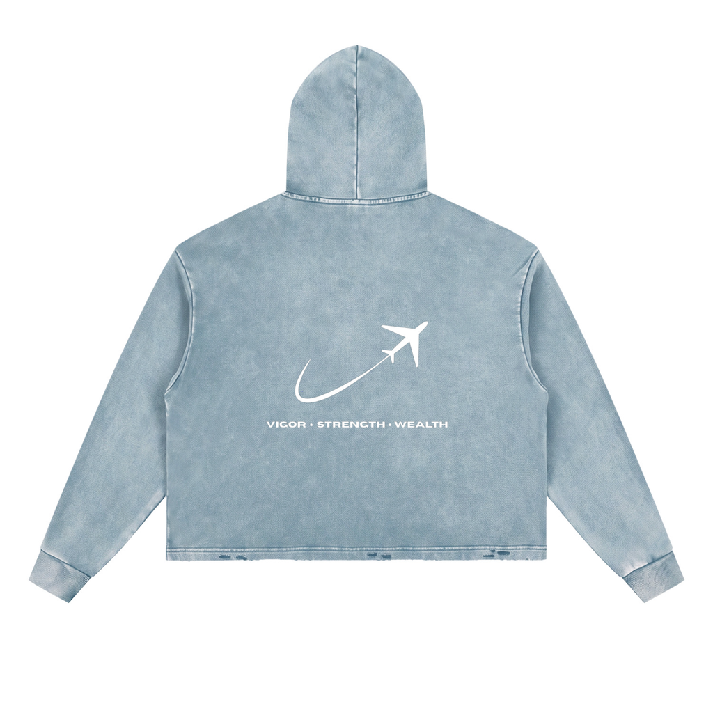 JetSetter,JetSetStyle,HeavyHoodie,PrivateJetClothing,HighFashion,LuxuryWear,HypebeastStyle,VintageWash,PrivateTerminalHoodie,CelebrityTravelHoodie,BlackVintageHoodie